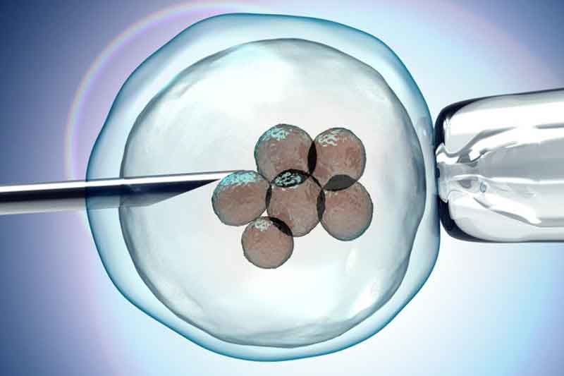 Tüp bebek tedavisinde ebriyo transferi